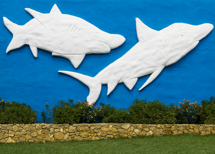 [分享]“鲨鱼互动到底有没有挂”开挂详细教程