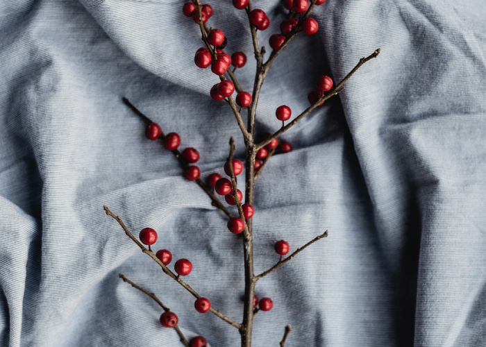 [推荐]“正宗南通长牌真的有挂吗”(原来确实是有挂)