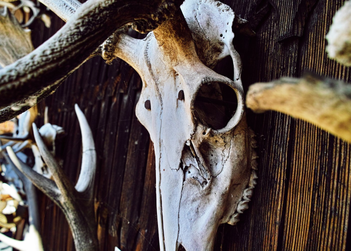 ［独家］“人海牛牛到底是不是挂”!(详细开挂教程)