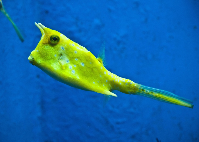 ［独家］“人海牛牛到底是不是挂”!(详细开挂教程)