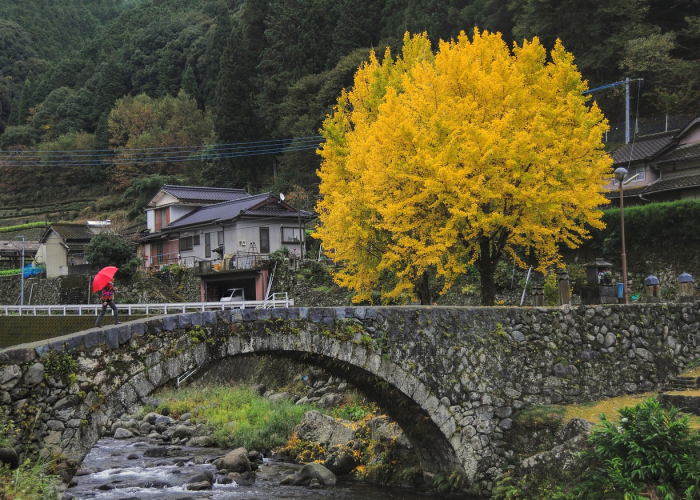 攻略推荐“滇南茶馆能不能开挂”其实真的能开挂