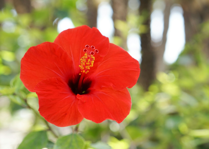 ［最新分享］“新九方炸/金/花是不是有挂”!(太坑了原来有挂)