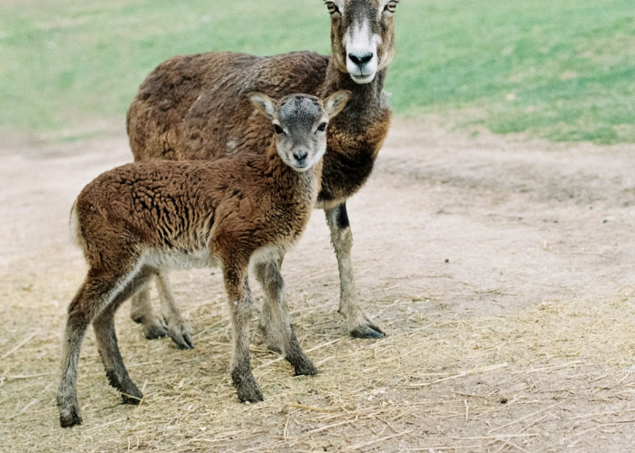 知道“新518互游牛牛竟然有挂”其实有挂