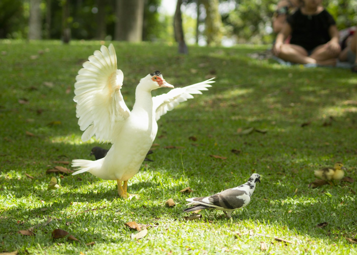 强势揭幕“十三十三水经典比鸡果然有挂”的确有人用挂