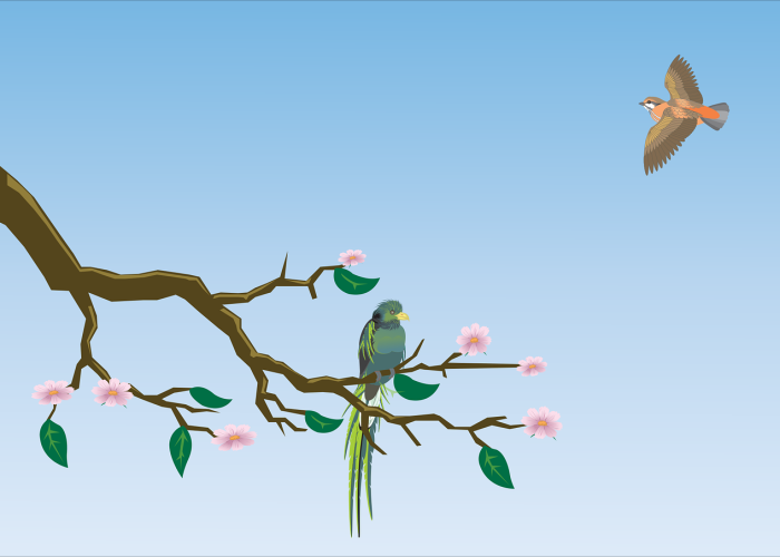 我来教教您“樱花牛牛到底是不是挂”!(太坑了果然有挂)