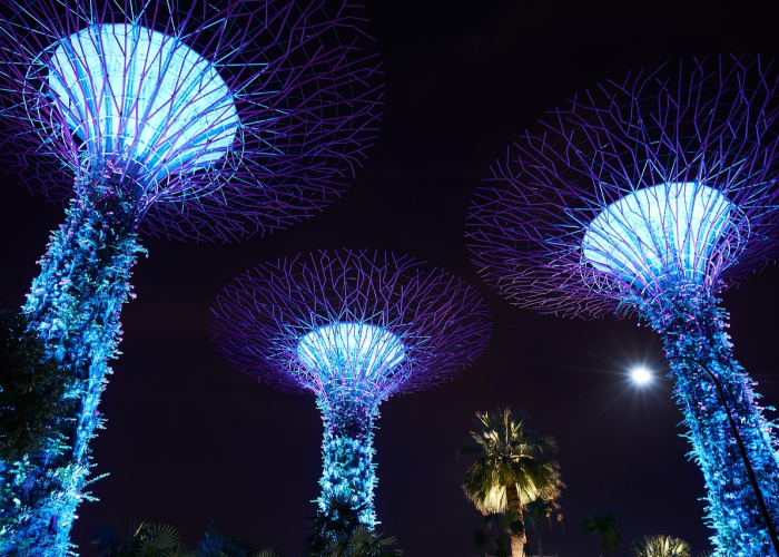 [分析]“海星大厅有没有挂”(原来确实是有挂)