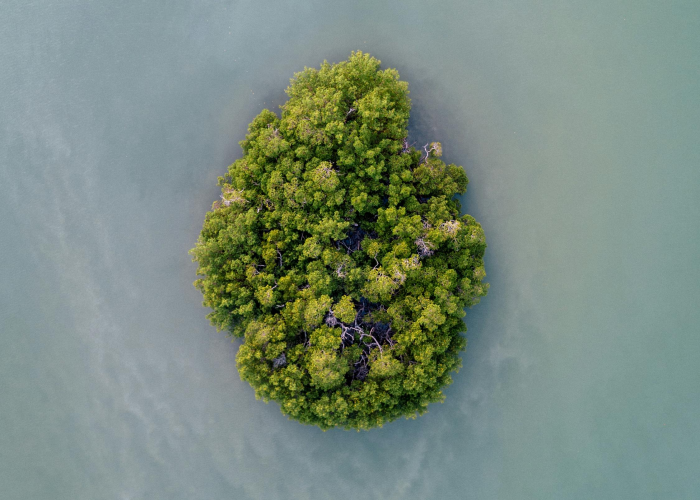 玩家实测“新毛豆透视辅助软件”(确实有挂) 玩家实测“新毛豆透视辅助软件”(确实有挂)
