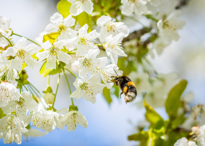 重大数据“樱花众娱为什么一直输,可以开挂吗”辅助开挂教程