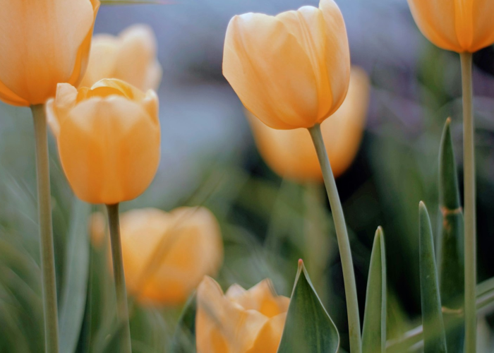 [分享]“花花生活圈怎么开挂”原来可以开挂