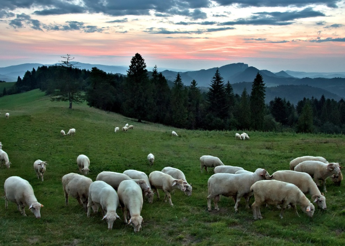 重大通报“铭心牛牛能不能开透视挂”(确实真有挂)-知乎