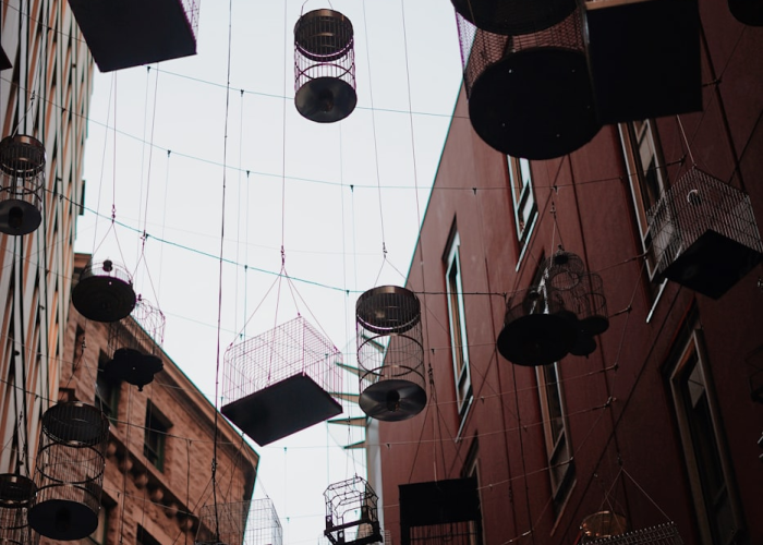 玩家必看“新道游其实真有透视挂”(其实有挂)