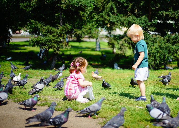 [推荐]“乐斗小院有没有挂”原来可以开挂