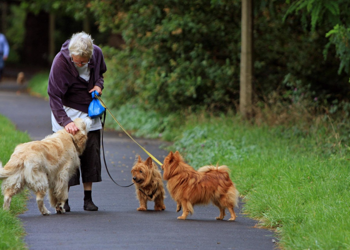 [实测]“小吆捉老麻子有没有挂”(确实真的有挂)
