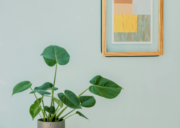 推荐一款“新蜜瓜拼三张其实有辅助器”分享装挂详细步骤