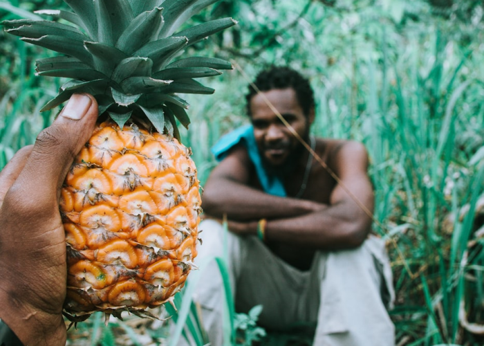 实测分享“福建大菠萝其实有透视辅助挂”其实确实有挂 实测分享“福建大菠萝其实有透视辅助挂”其实确实有挂
