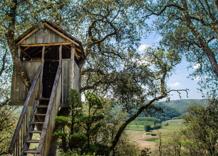 [推荐]“乐斗小院真的有挂吗”有挂详细开挂教程