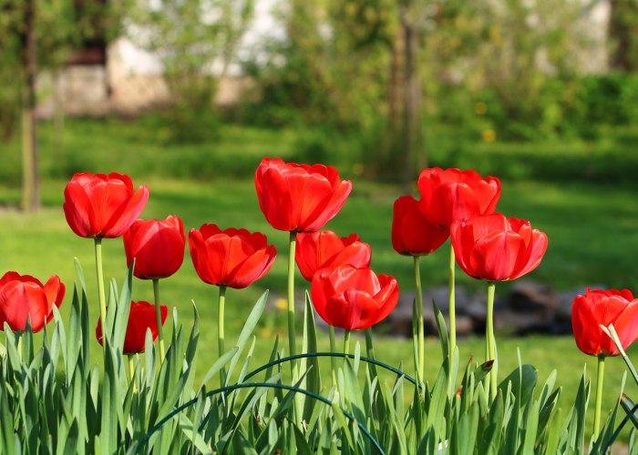 今日重磅消息“飞鹰炸/金/花开挂神器”!(原来真的有挂)