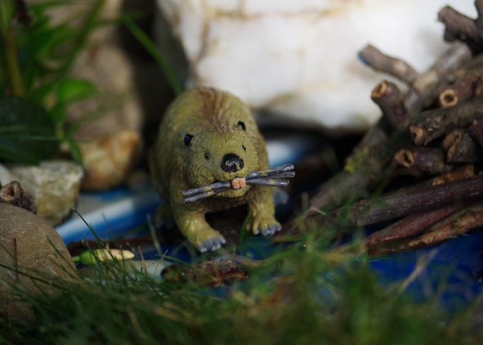 知道“大唐撸麻雀真的有挂”原来有挂