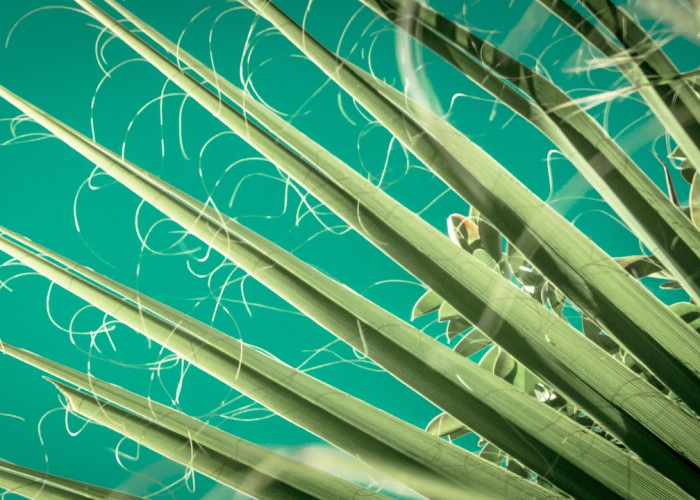 ［攻略科普］“灯塔麻将有没有挂”!(其实是有挂)