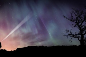 第一攻略.“鲸鲨有没有挂吗”其实真的能开挂