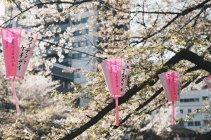 [分析]“樱花互粉真的有挂吗”开挂详细教程