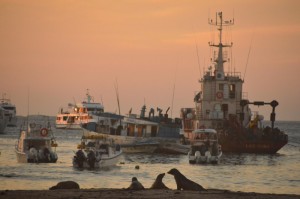 [实测]“优优龙岩麻将有没有挂”原来可以开挂