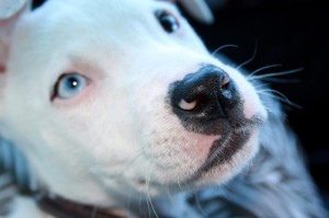 [解答]“讯奇斗牌可以开挂吗”原来可以开挂