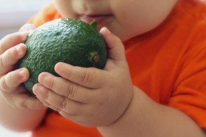 今日重磅消息“宝宝吃吃吃可以开挂吗”［透视曝光猫腻］