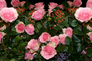 分享实测“皇后斗牛到底是不是有透视挂吗”开挂步骤方法