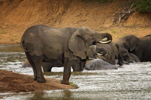 ［玩家实测］“越乡游新昌麻将开挂神器”［其实是有挂］