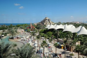 知道“新玉海楼茶苑有没有挂”其实有挂