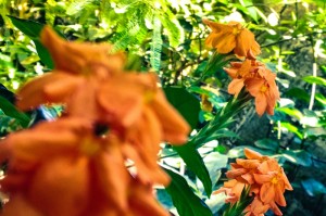 [解答]“广水四色真的有挂吗”开挂详细教程