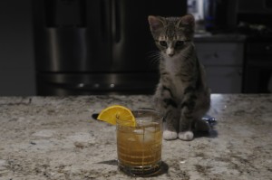 科普实测“新道游斗牛透视挂辅助”(原来真有挂)