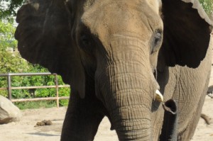 【2019年疫情是什么时候结束的/2019年疫情是什么时候结束的呢】