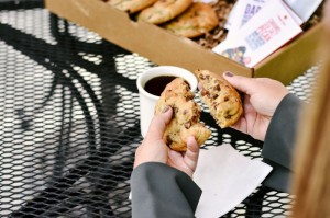 传授几款“开心小辣果然有挂”揭秘开挂教程分享