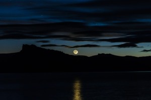 第一攻略.“星空娱乐是不是有挂吗”(玩家翻本必备神器)