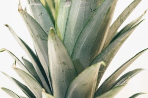 分享实测“789大菠萝究竟有透视挂吗”(原来真有挂)