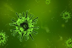 经验总结.“新卡农有没有挂”[开挂辅助教程]