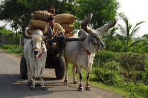 出现一款新型“新玄龙大厅怎么开挂”真的有挂