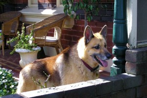 推荐一款“熊猫互娱其实是有透视软件”开挂详细方法