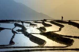 疫情从哪年哪月开始的?疫情是那年开始的