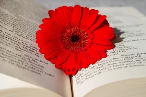 解封之后，我们失去与得到了什么？