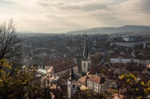 独家发现“卡农炸/金/花开挂器”［详细开挂教程］