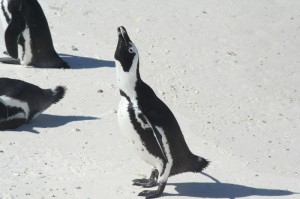 [推荐]“哈局真的有挂吗”开挂详细教程