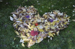 今日重大通报“新毛豆炸/金/花开挂器”［确实真的有挂］