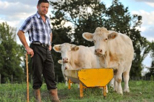 终于明白“红豆牛牛有挂没”(原来有挂)