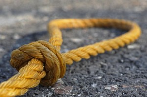 [分析]“麦穗有没有挂”开挂详细教程