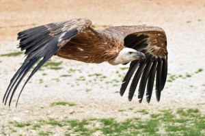 今日重大通报“小南四川长牌真的有挂”确实有挂