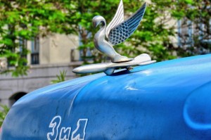 [分享]“新金龙怎么开挂”开挂详细教程