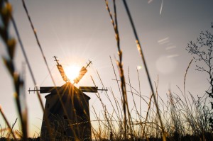 【疫情在什么时候开始的/疫情在什么时候开始的?